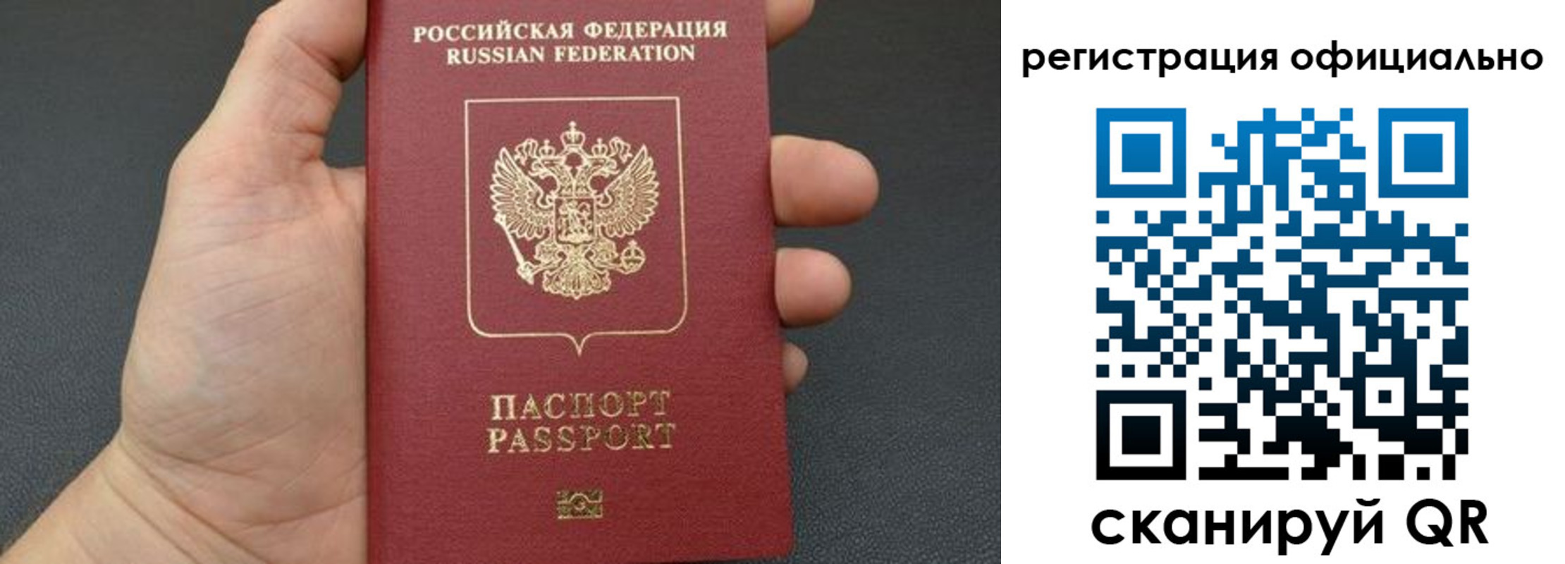 прописка в Щиграх